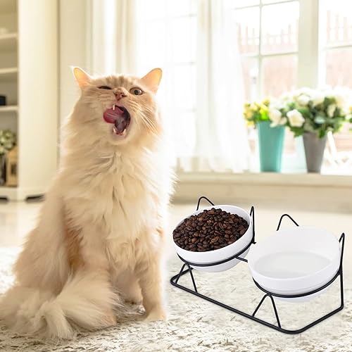 Miniatura 7 de Trosetry - Cuencos para gatos, cuencos dobles de cerámica para mascotas con soporte elevado inclinado a 15 para comida y agua, comedero antivómitos,