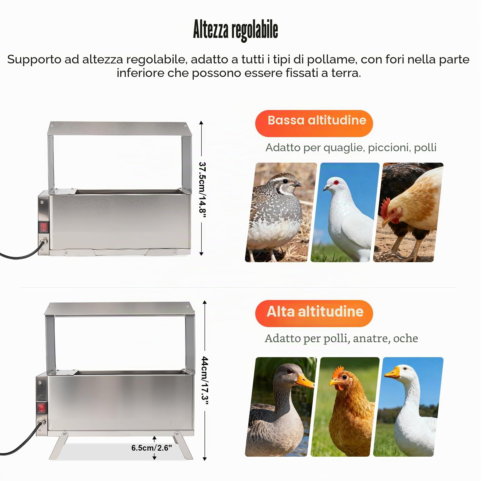 Abbeveratoio riscaldato per polli, in acciaio inossidabile da 9 litri, abbeveratoio per polli per l'inverno, abbeveratoio automatico per pollame, scaldino per abbeveratoi per anatre