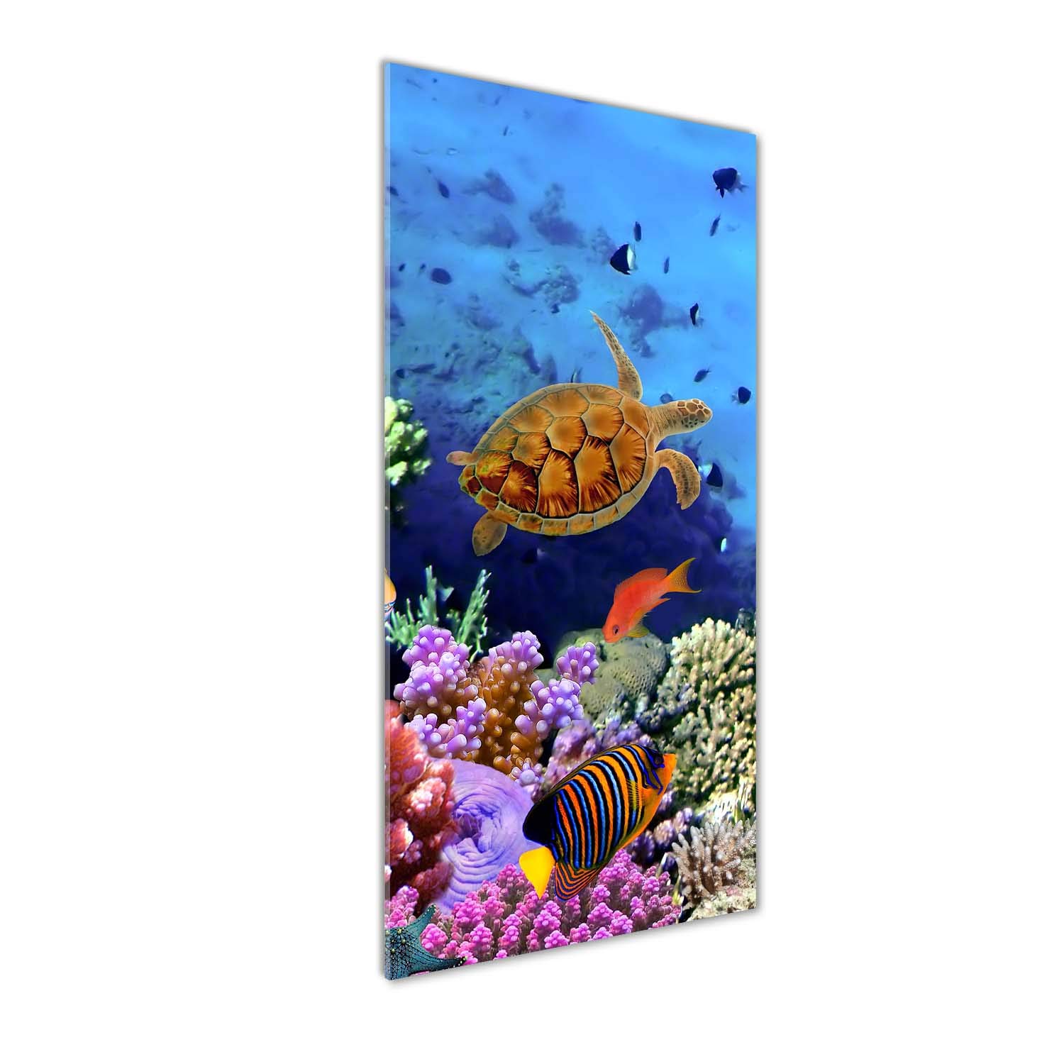 Impression sur verre acrylique Tulup déco mural haute définition