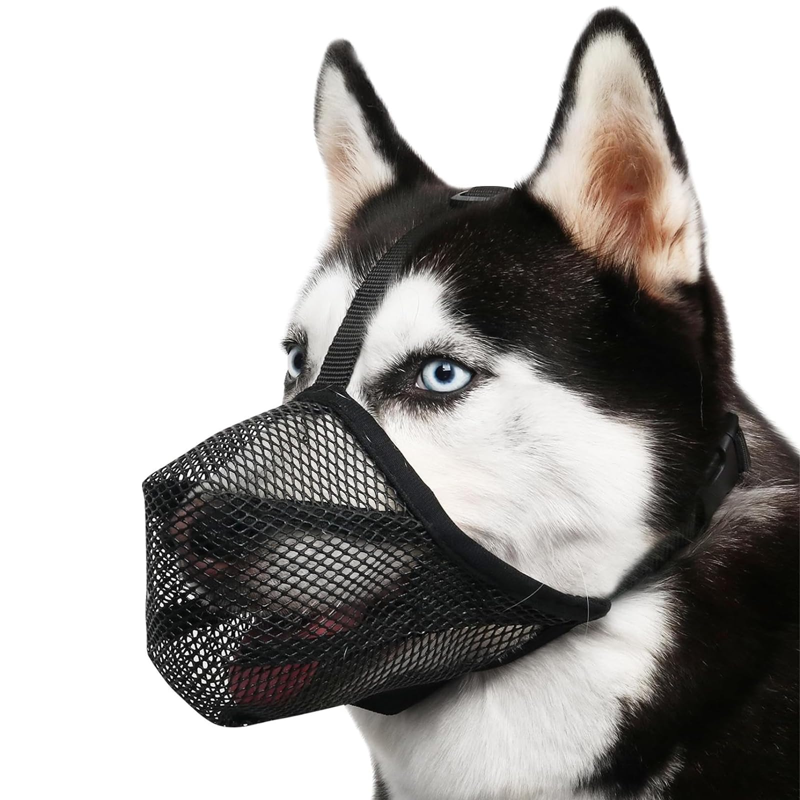 Myiosus Bozal para Perros Grandes - Bozal Perro de Malla de Nylon Transpirable, Bozales de Malla Ajustable Suave, para Mascarar Cortar y Entrenar a Perros, Previene Mordidas (Negro, XXL)