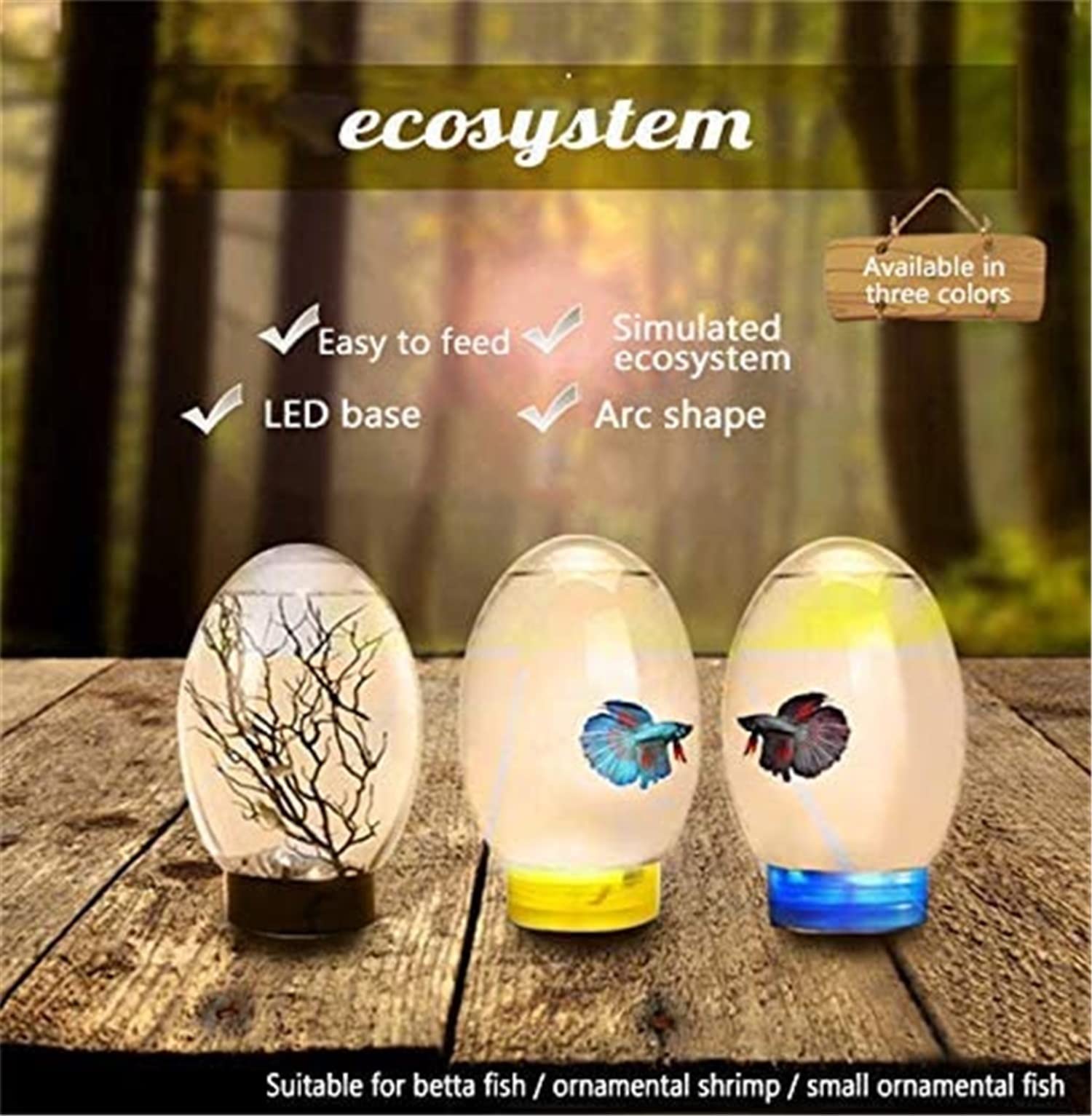Acquario desktop con ecosistema acquatico chiuso, ecosfera per acquario piccolo, con illuminazione a LED, albero di ferro marino, conchiglia