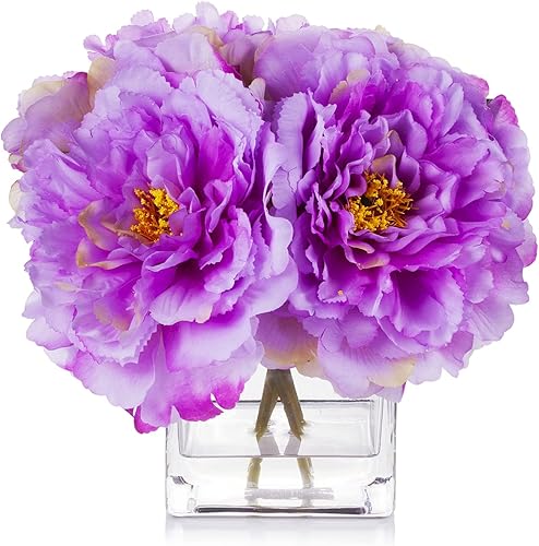 ENOVA FLORAL Arreglo de flores artificiales de peonía de seda con jarrón, flores sintéticas en jarrón de vidrio con agua sintética para decoración