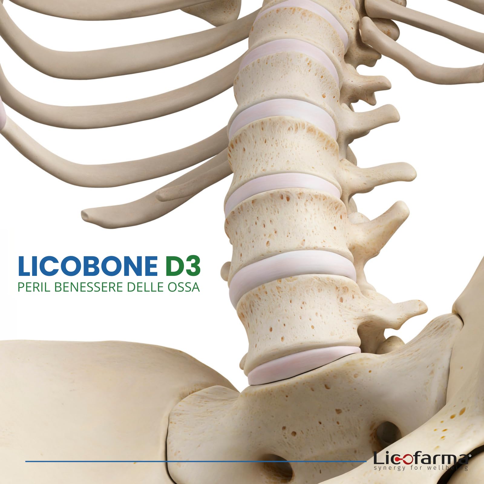 Licobone D3 Integratore Alimentare per il Benessere delle Ossa | Con Vitamina D3, Vitamina C ed E e Licopene | Pilloliera da 90 capsule