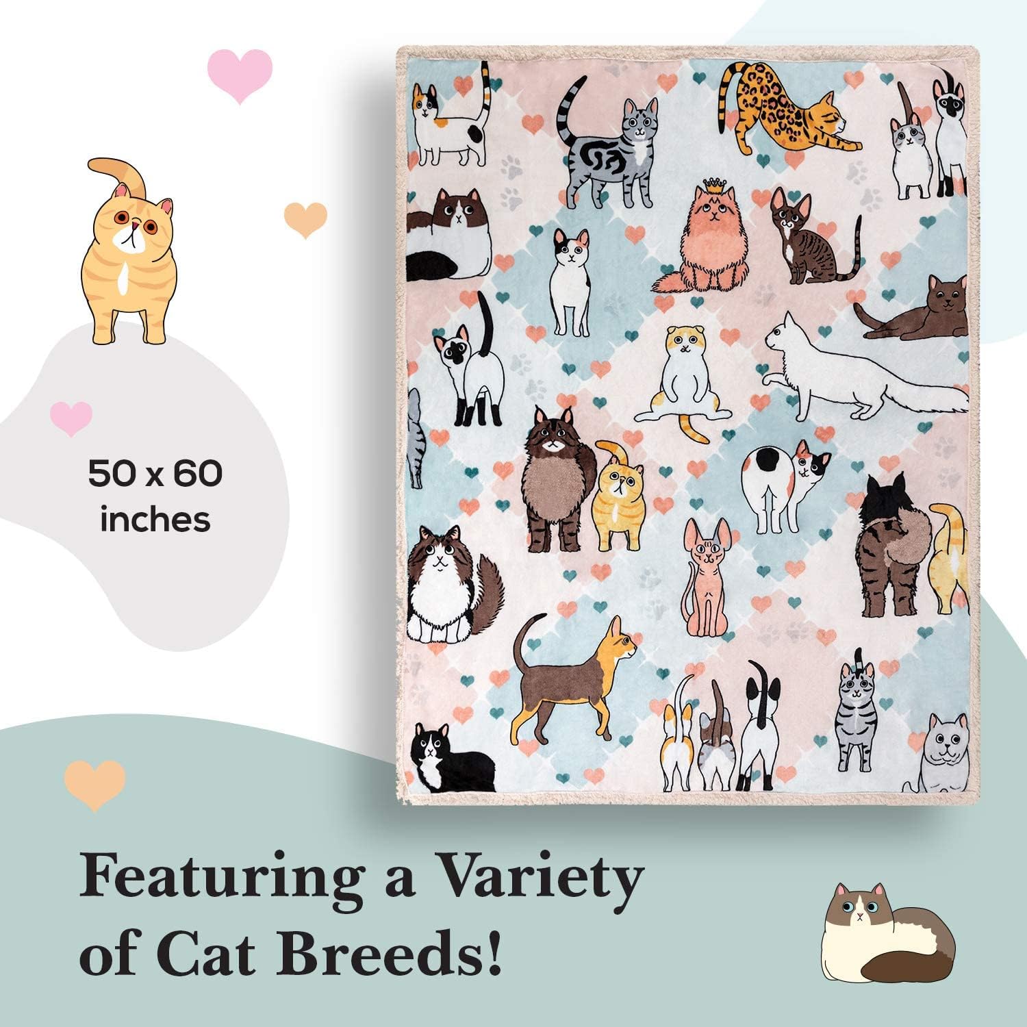 Cat Blanket - 28 Cute Feline Companions on a Sumptuously Soft 50x60 Inch Throw Blanket - The Most Beloved Cat Lover Gift - Image 5