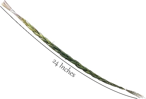 Miniatura 2 de Alternative Imagination Trenza de incienso Sweetgrass, extra grande (24 pulgadas +)
