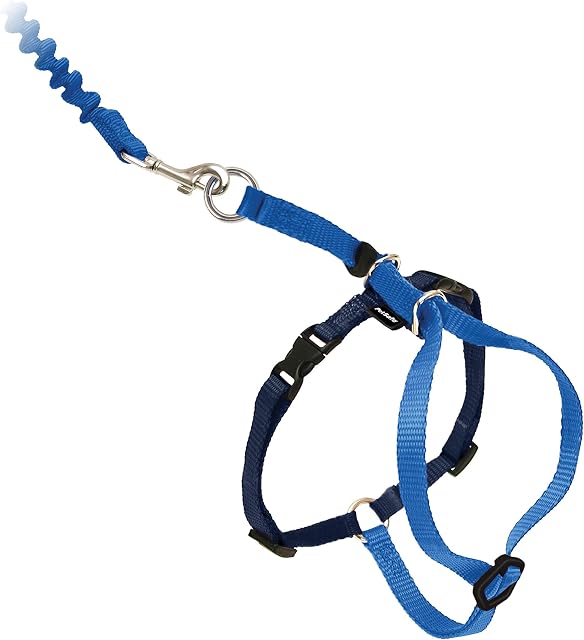PetSafe Come With Me Kitty Harness and Bungee Leash, Arreio para Gatos, Médio, Azul Royal/Marinho