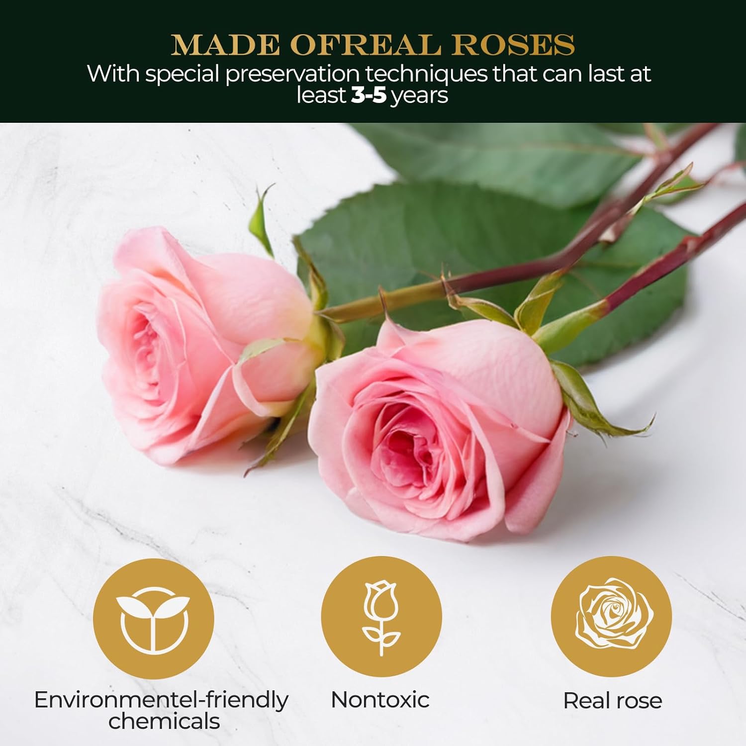 Premium Preserved Light with LED Light in Glass Dome - Long-Lasting Real Flower Gift for Women, Daughter, Mom, Wife, and Friends - Perfect for Birthdays and Special Occasions (Pink) - Image 3