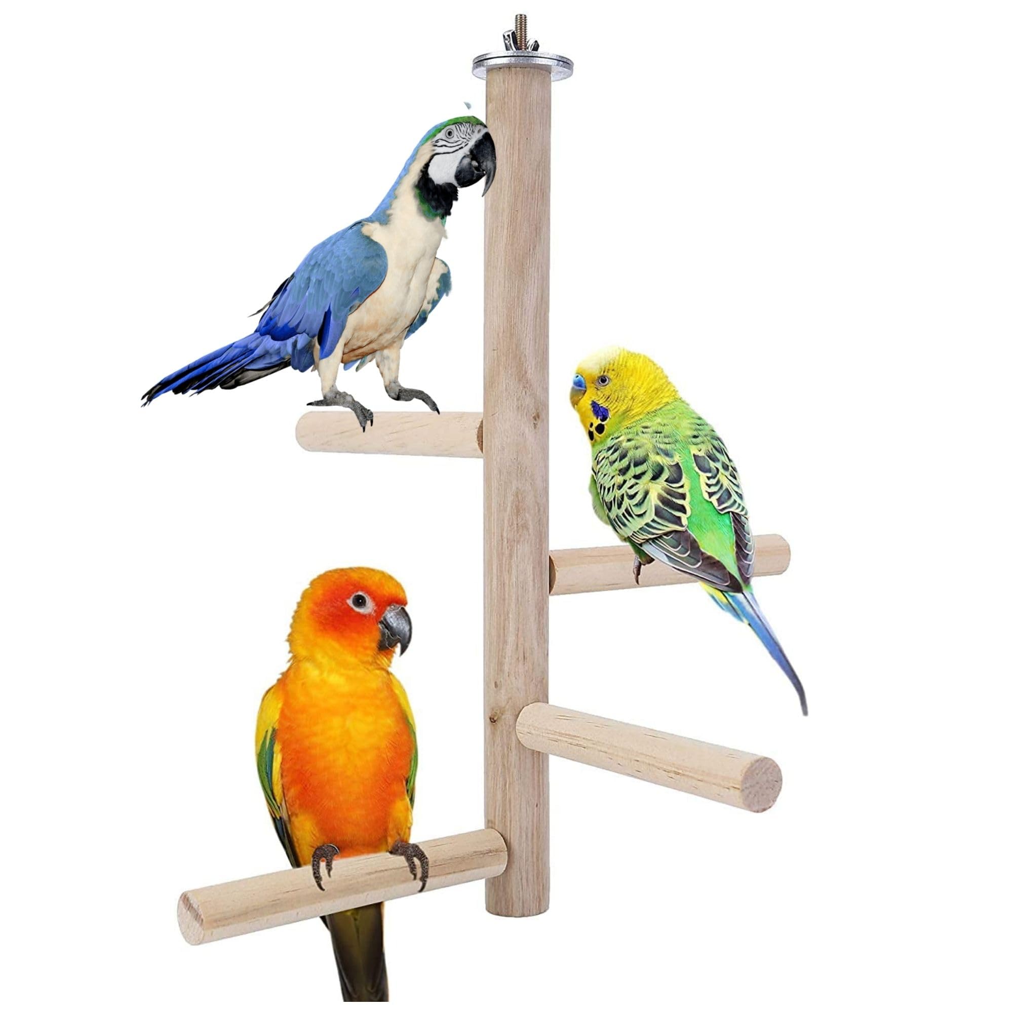 See full amazon price history chart for SS Organic Pet Bird Parrot Wooden Stand Perch Playground Platform,Cage Chew Playing Toy Lovely Pet Hanging Multi Branch Perch for Parrots (10 Inch x 8 Inch) SS Organic Pet Bird Parrot Wooden Stand Perch Playground Platform,Cage Chew Playing Toy Lovely Pet Hanging Multi Branch Perch for Parrots (10 Inch x 8 Inch) (B0CJPRX69T) Amazon Price History, Amazon Price Tracker