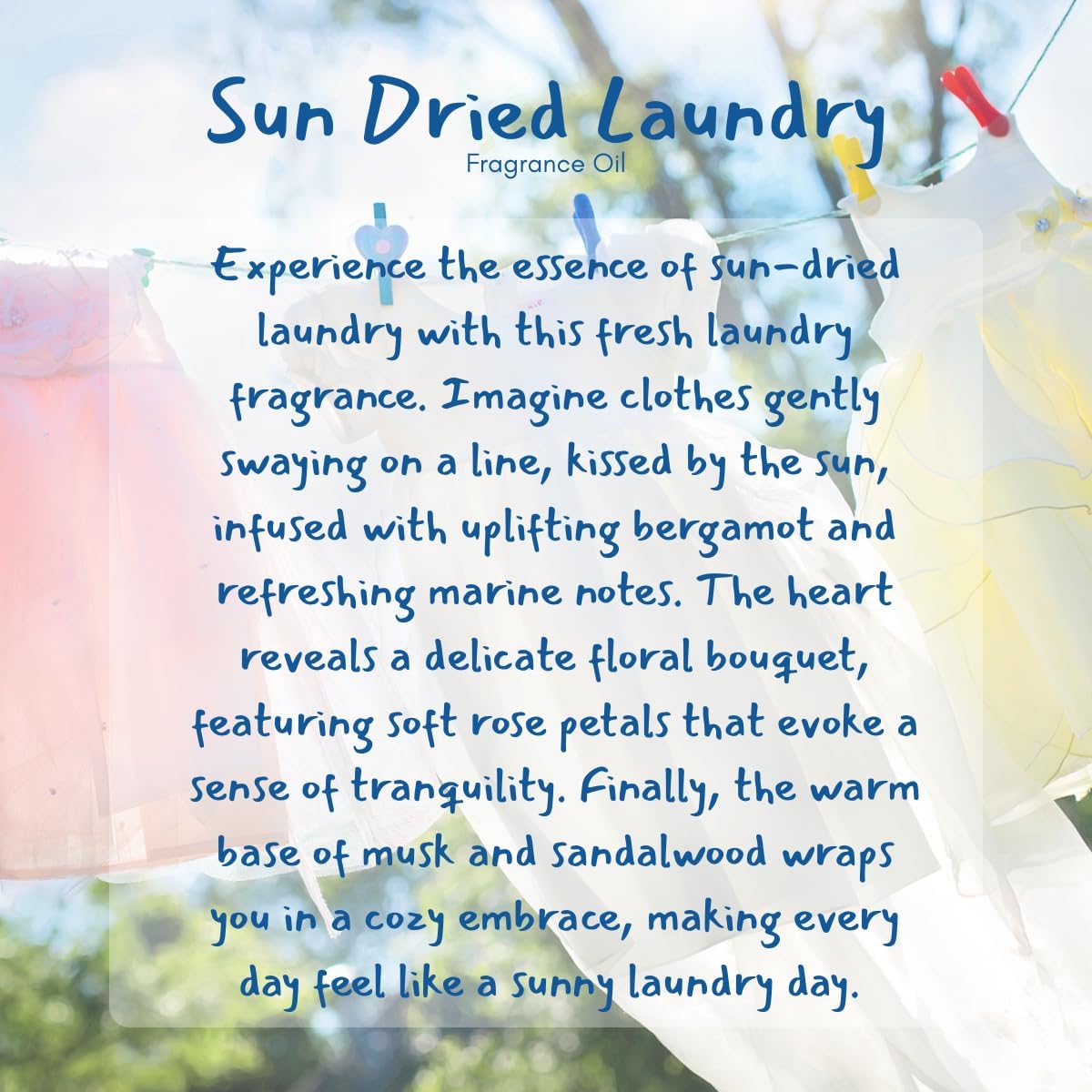 Sun Dried Laundry Fragrance Oil (Our Version of The Brand Name) (64 oz Jug) for Candle Making, Soap Making, Tart Making, Room Sprays, Lotions, Car Fresheners, Laundry Detergent,Fabric Softener