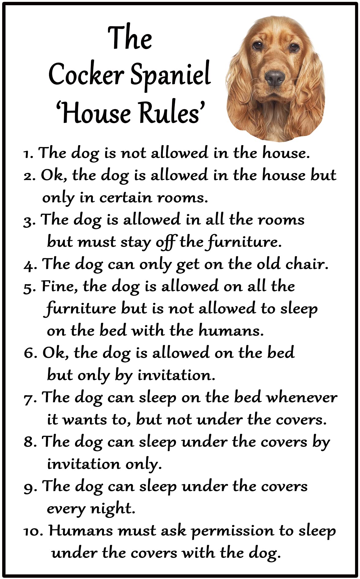 Fridge Magnets Red Cocker Spaniel Golden Gift - House Rules - Large Fun Flexible Fridge Magnet- Size 16Cms X 10 Cms (Approx. 6" X4")