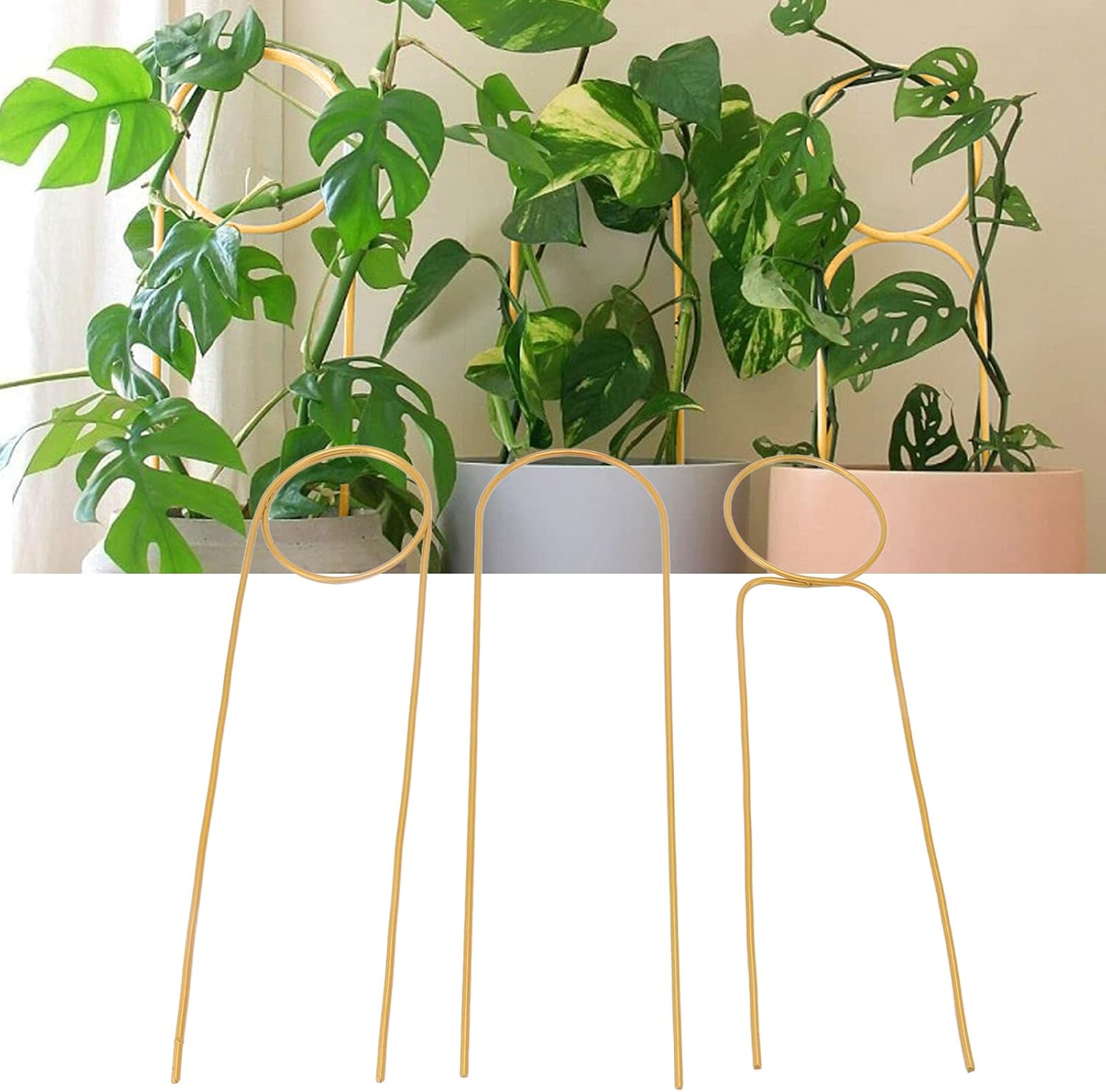 鉢植え用の小さな金属トレリス 屋内のつる植物用の3個のトレリス 15 7インチの植物サポートステークホヤ用のミニハウス植物トレリス 花 ゴールド 早割クーポン