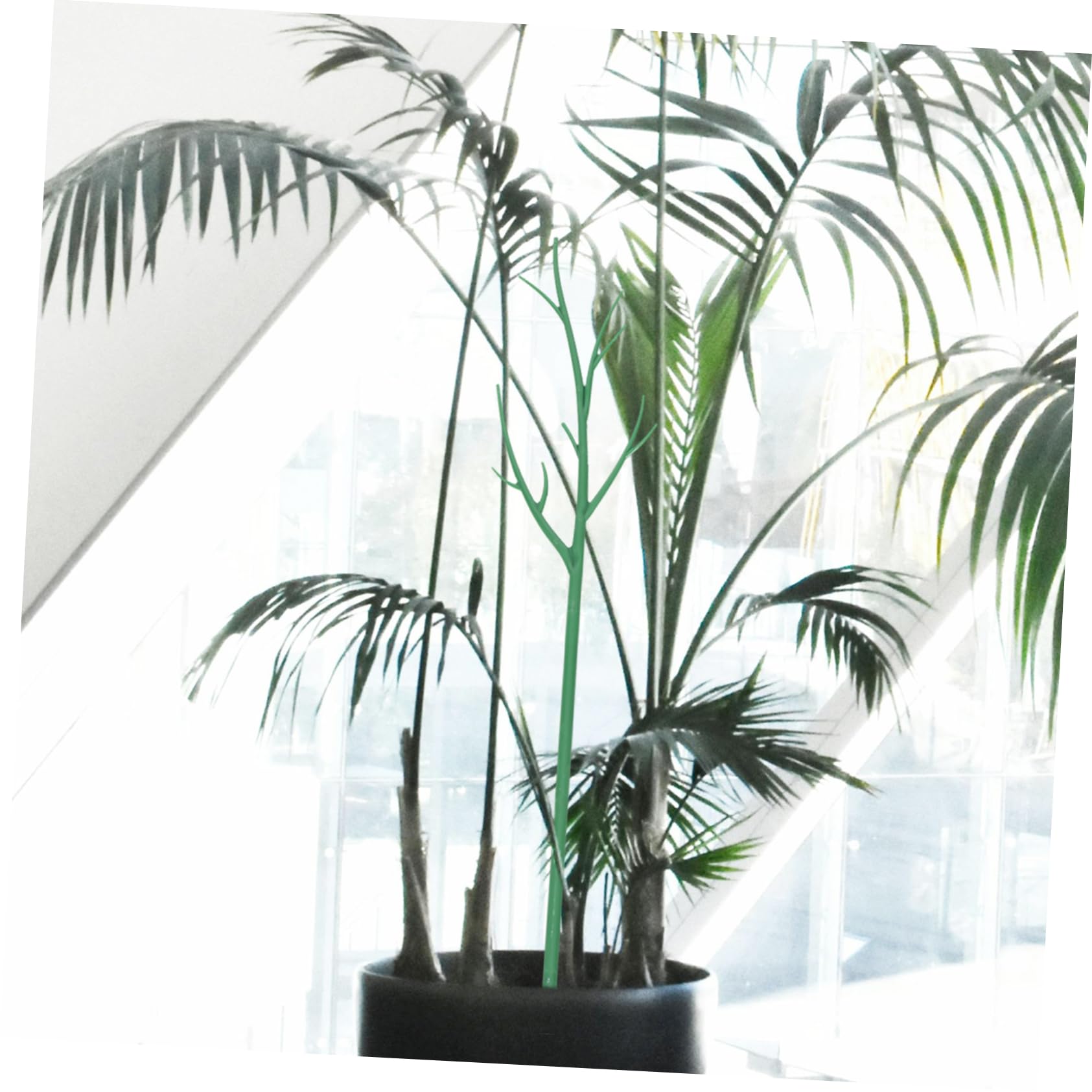 Tuteur De Plantes pour Usage Extérieur Et Intérieur 6 Pièces Treillis en Plastique pour Vignes Grimpantes Outil De Jardin pour Plantes en Pot