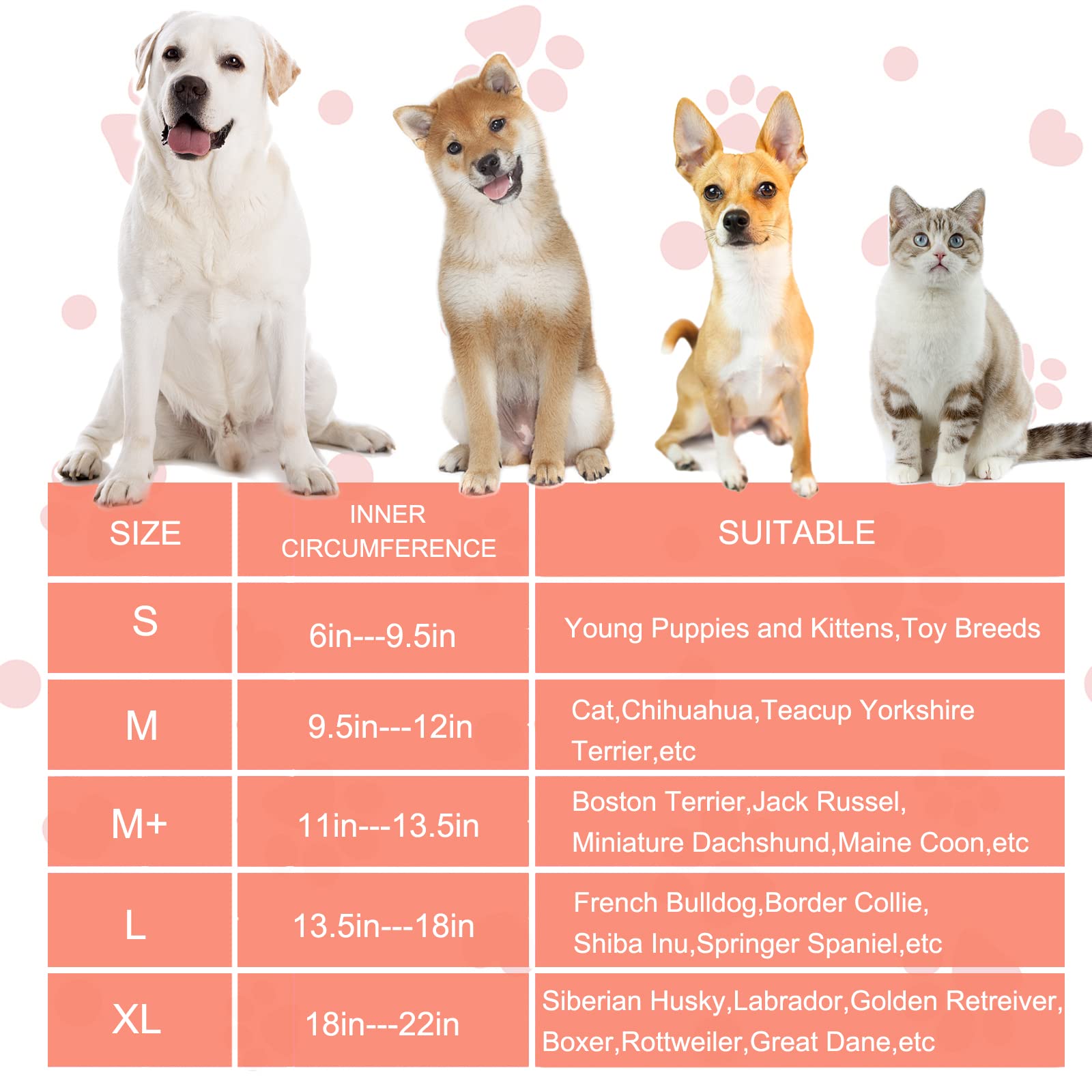 Mariyago Inflatable Dog Cone Collar with Enhanced Anti-Licking - Image 3