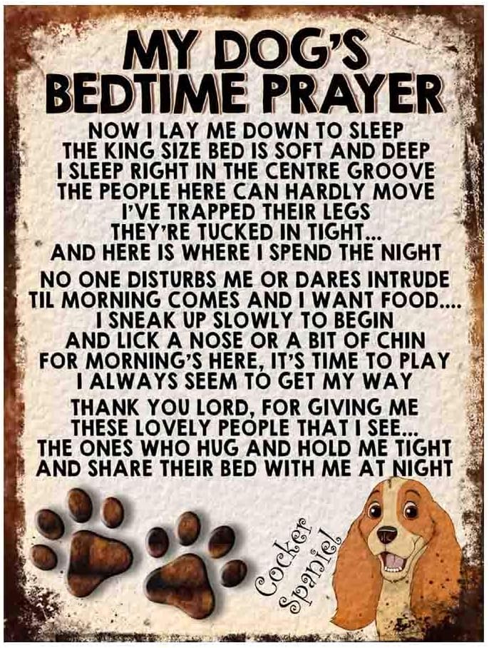 MY DOG'S BEDTIME PRAYER RETRO STYLE METAL TIN SIGN/PLAQUE DOG BREEDS (Cocker Spaniel Dog Cute), 8" x 6"