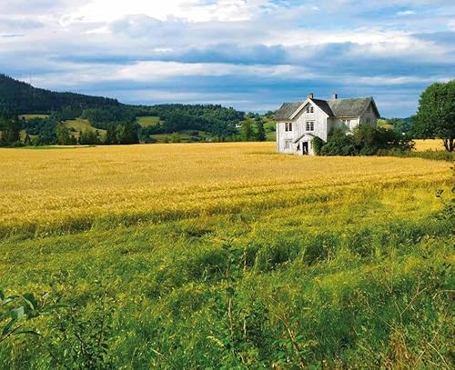 Il Cammino Di Sant'olav. Dove Cadde Un Re E Nacque Una Leggenda - 5