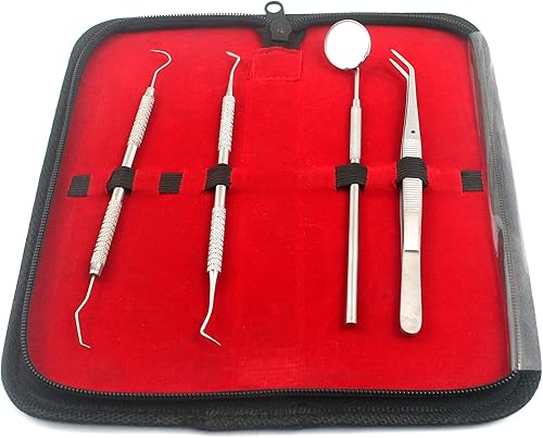 OdontoMed2011 Juego de 4 instrumentos dentales kits con bolsa sarro calculo removedor de placa raspador dental espejo y escalador para uso personal