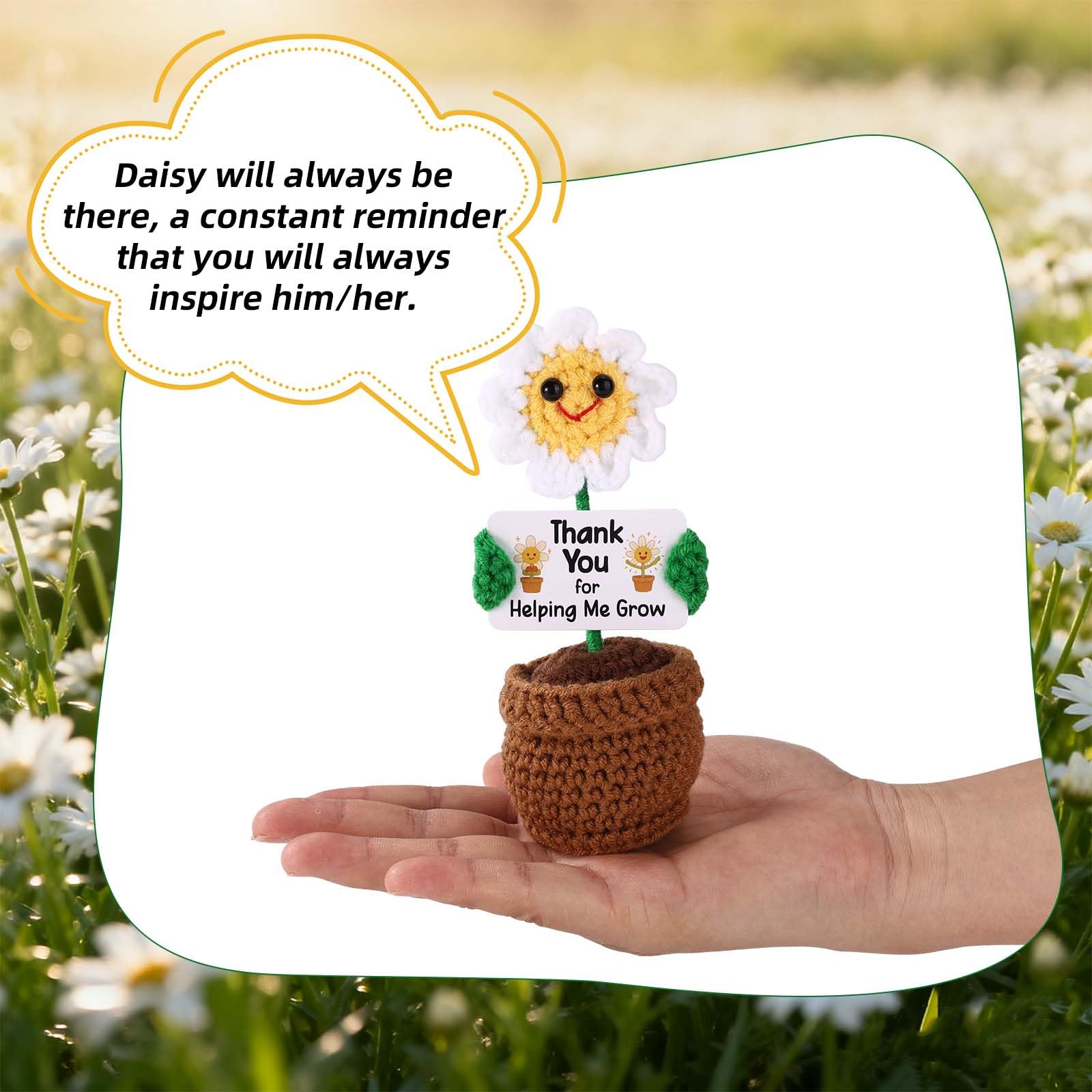 TOYMIS Positive Daisy - Image 3