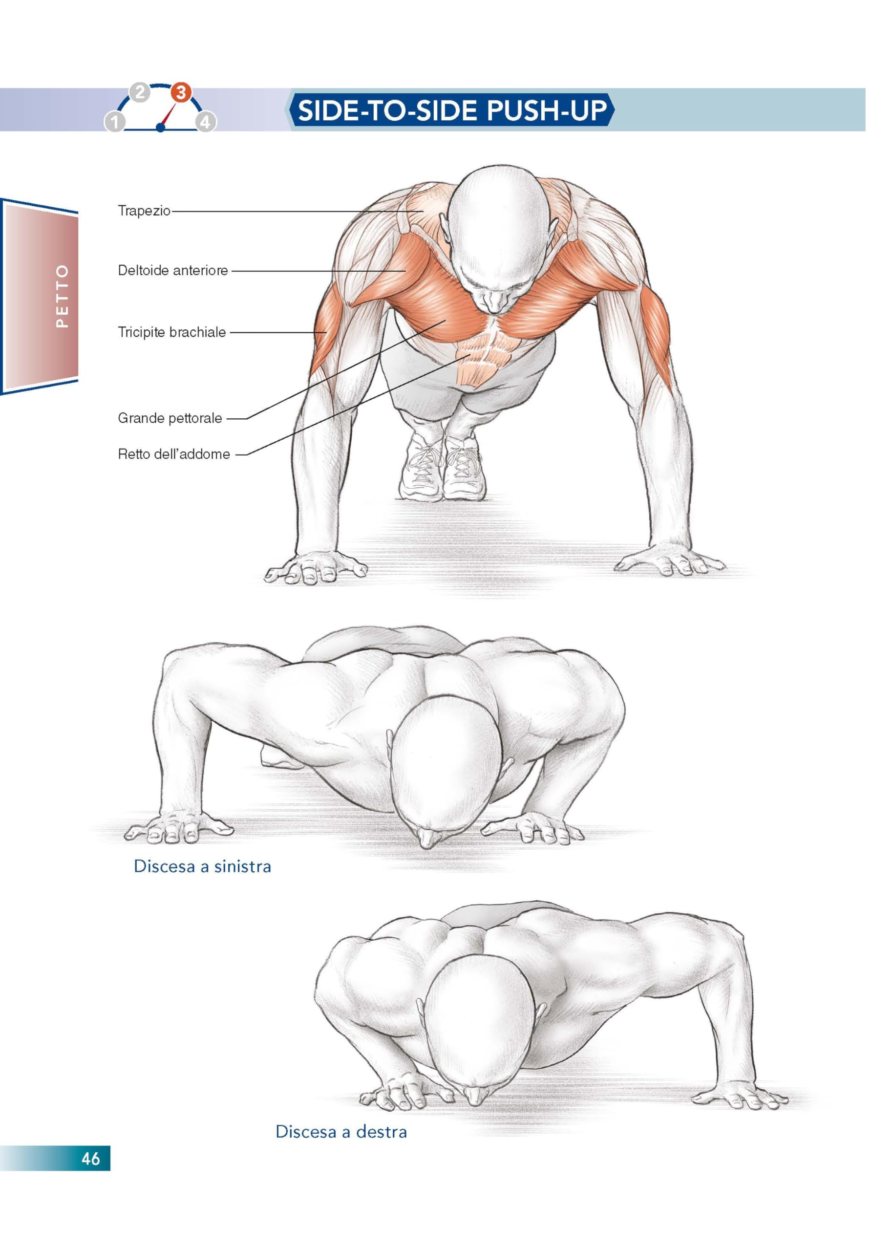Allenamento a corpo libero. E anatomia umana