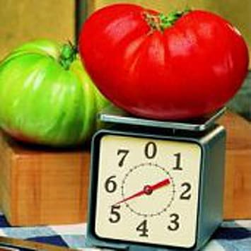 Big Zac Tomato Seeds 20+ Seeds | Non GMO | Vegetable Fruit Herb Flower Seeds for Planting | Home Garden Greenhouse Pack