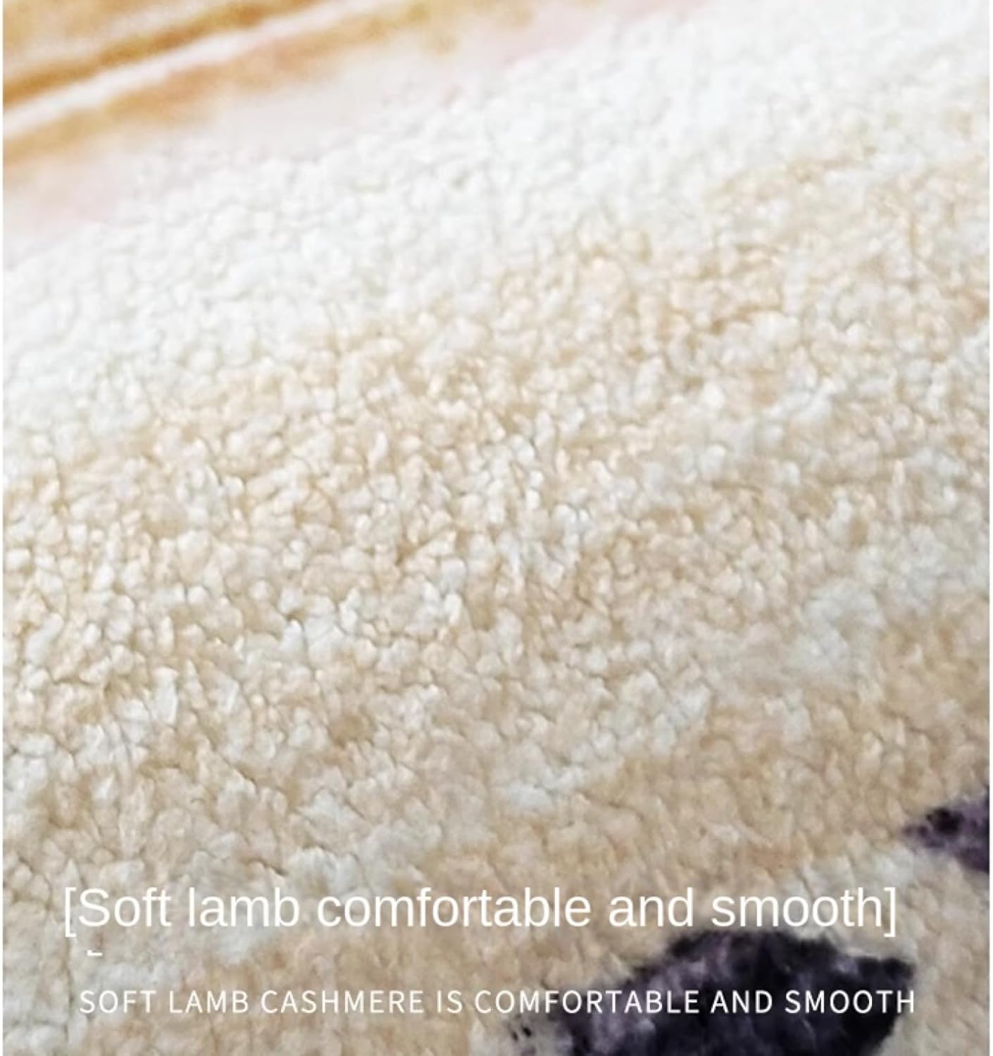 Cashmere Carpet for Home Soft Living Room Bedroom Large Area Padded Cloakroom Decorative Carpet(80x120cm 32x47inch/FYR-4)