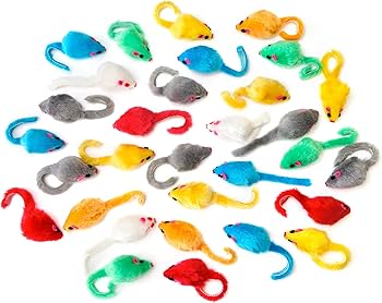 Mushuk siyayotgani video Mushuk siyayotgani video