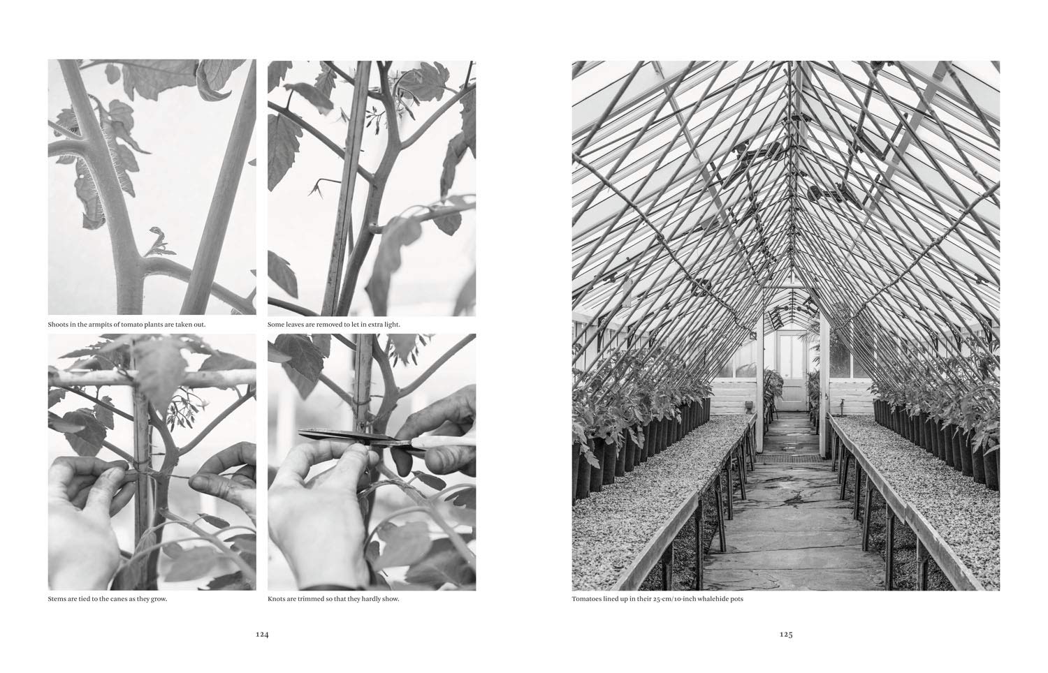Paradise and Plenty: A Rothschild Family Garden
