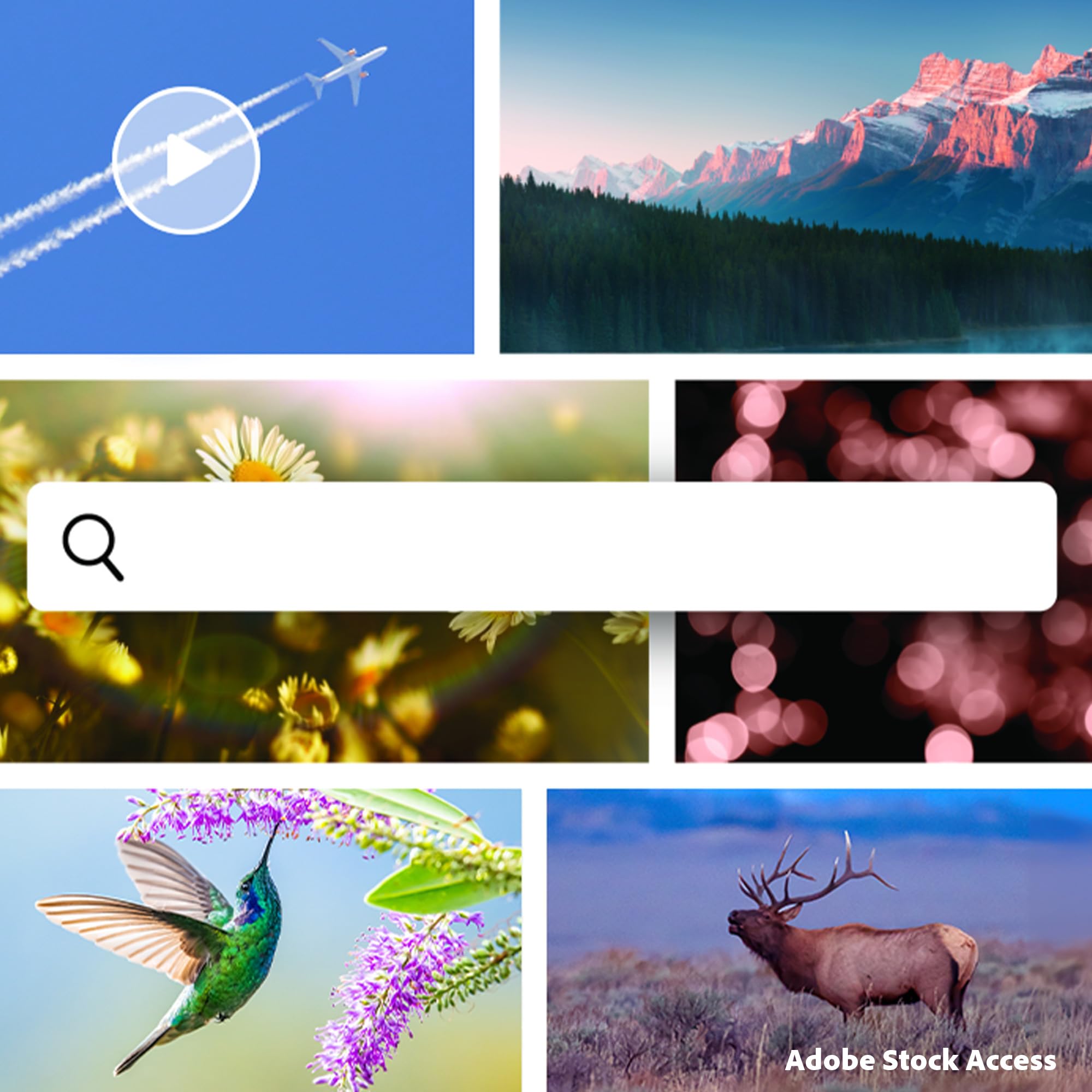 Adobe Photoshop Elements 2026 & Premiere Elements 2026 |Studetn and Teacher | Licence 3 ans| 1 appareil |1 Usager|PC/Mac|Téléchargement