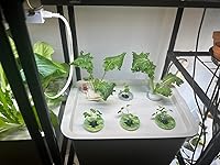 Review Image by Drea Drea