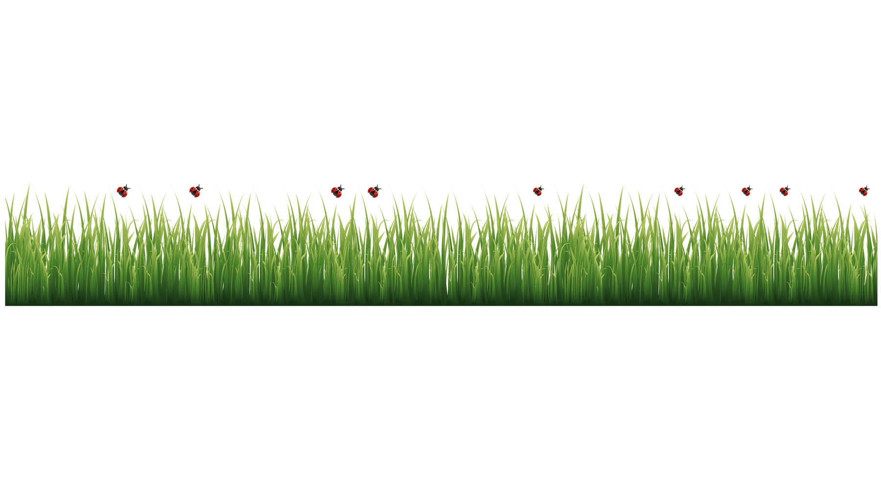 Bordure herbe et coccinelles Crearreda CR-53004 bande adhesive lavable mate