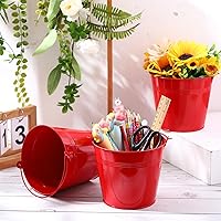 Vista 3 de Rtteri 24 cubos pequeños de metal con asa, mini cubos a granel para recuerdos de fiesta de Pascua, soporte para lápices de aula, maceta, cesta