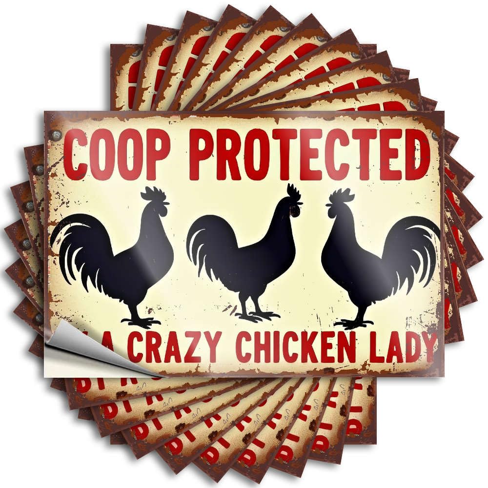 Fzfn Girls Colour Tattoos Plain Easy Apply | Coop Protected By A Crazy Chicken Lady. Tall Hard Peel And Stick(8X12cm)