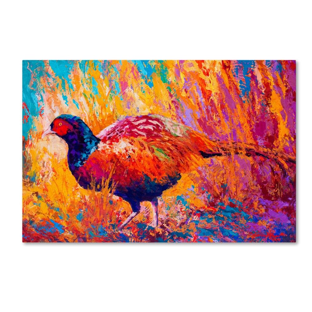 Pheasant by Marion Rose, 22x32-Inch Canvas Wall Art