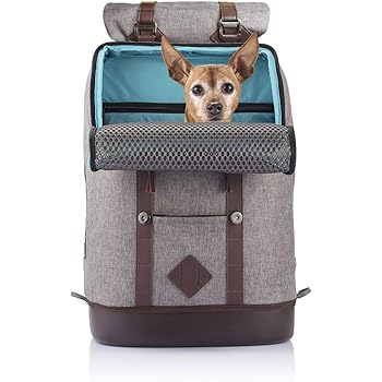 kurgo dog carrier backpack