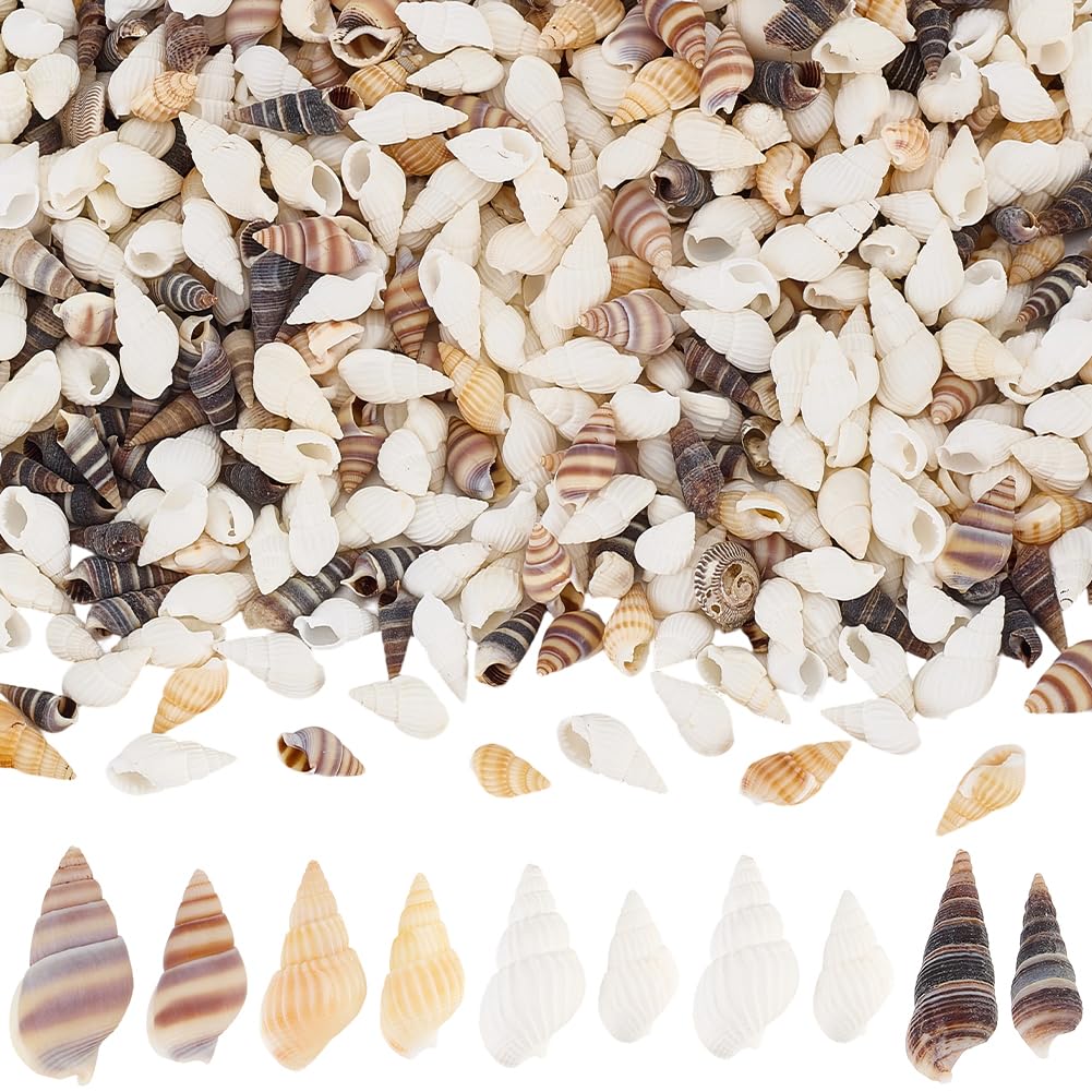 Conchas espirales pequeñas SUNNYCLUE de 5 estilos para decoración marina
