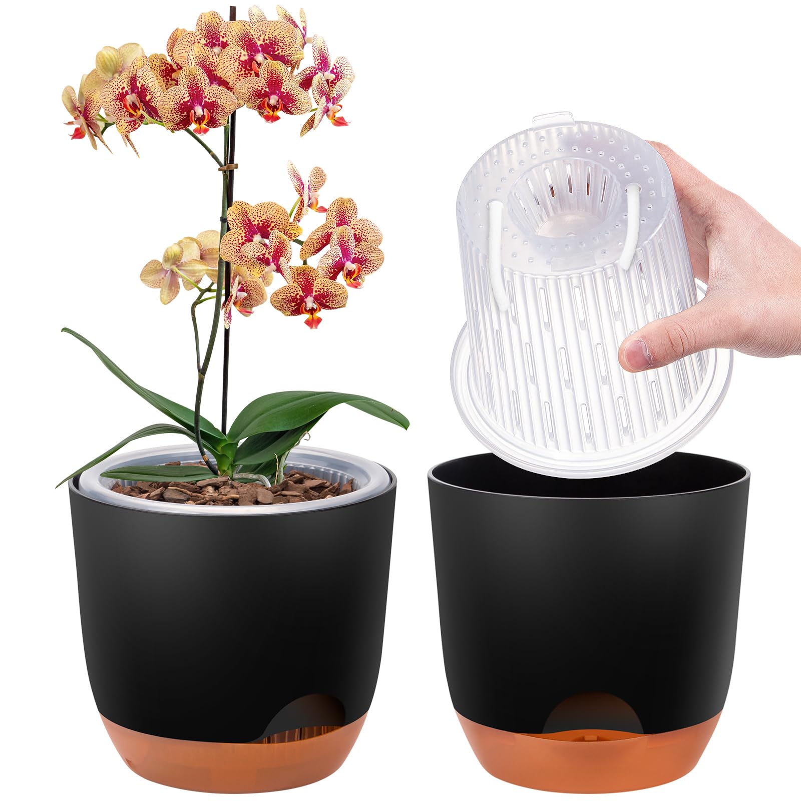 QCQHDU 2er-Set Orchideentopf Groß