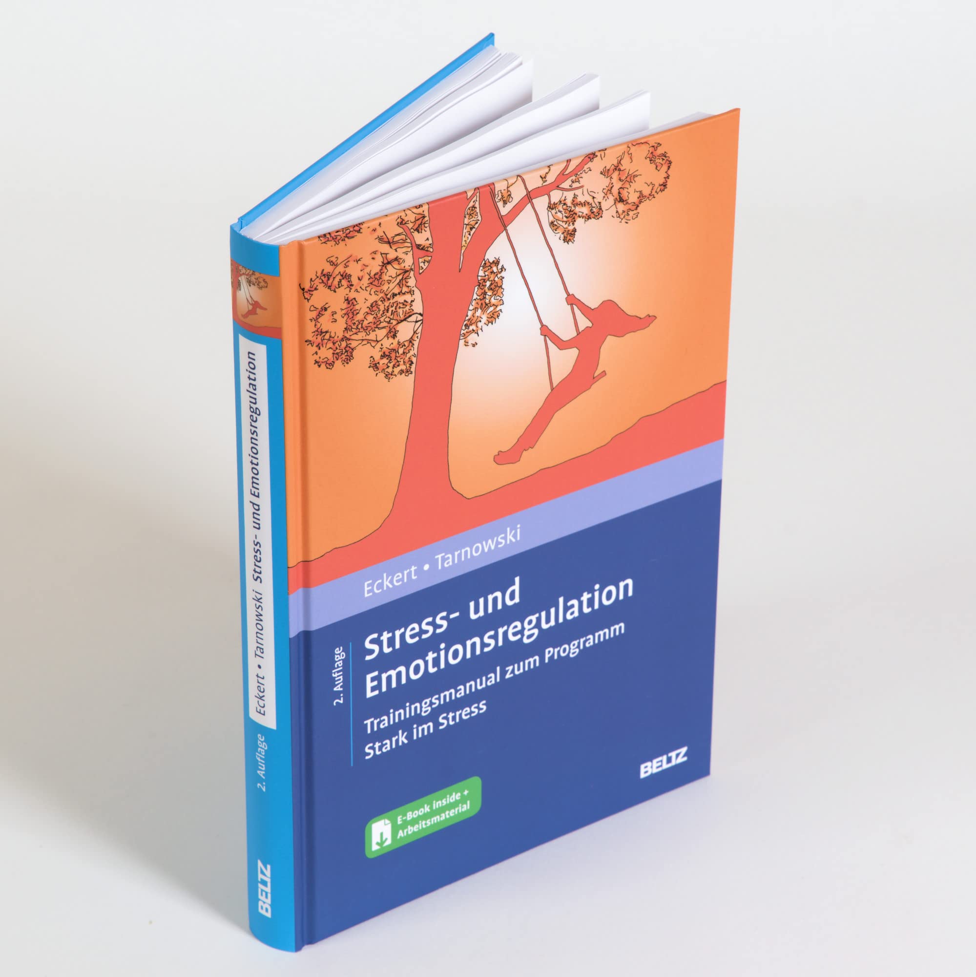 Stress- und Emotionsregulation: Trainingsmanual zum Programm Stark im Stress. Mit E-Book inside und Arbeitsmaterial