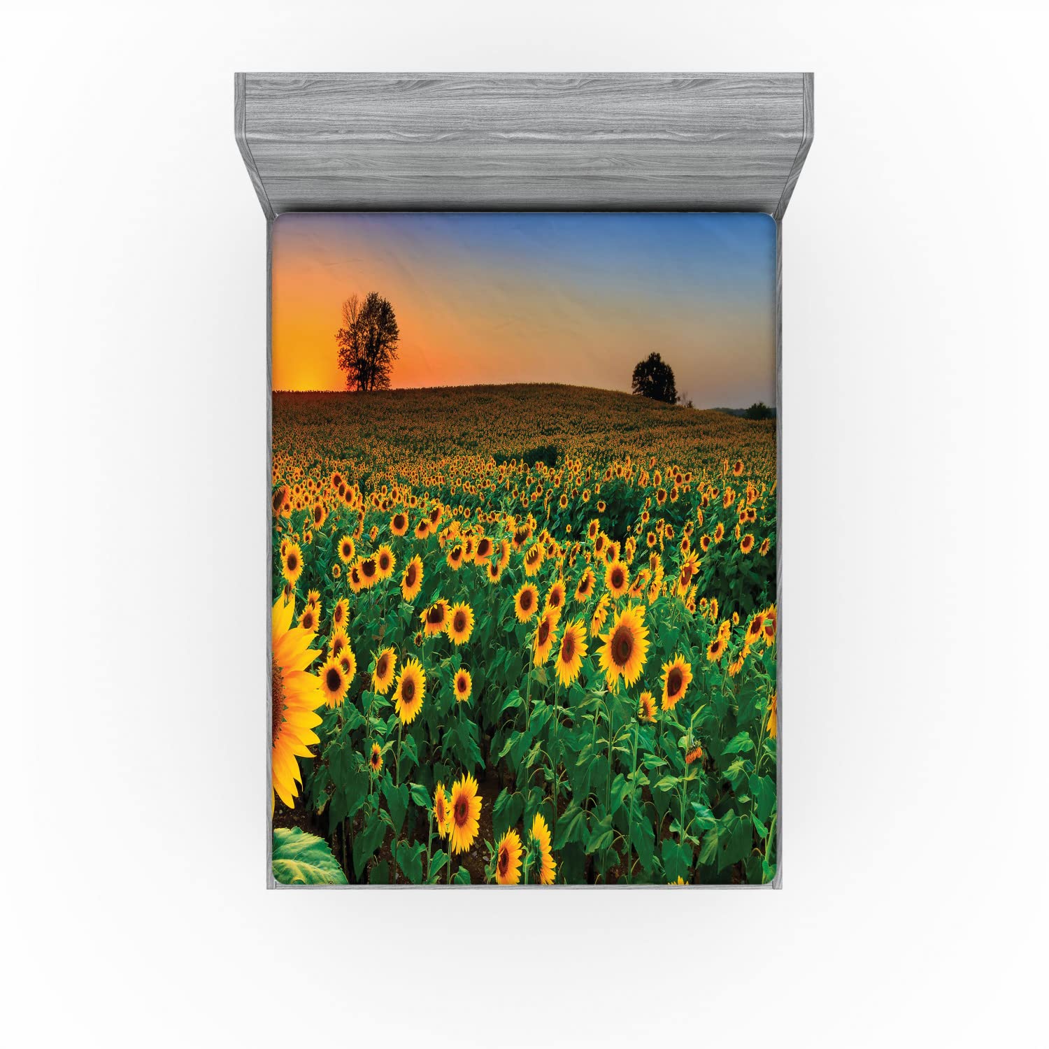 Ambesonne Sunflower 2 Pack Fitted Sheet, Flower Field at Sunset, Bed Cover All-Round Elastic Deep Pockets 2 Pieces, Package Contains 2 Full Size Fitted Sheets, Green Yellow