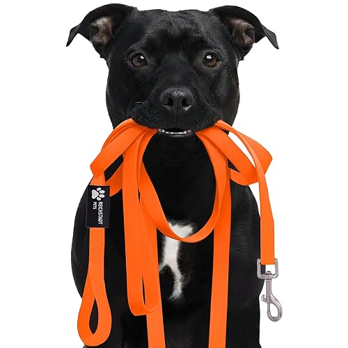 Reichstadt Pets Correa PVC Perros Repelente Agua Orange 15m
