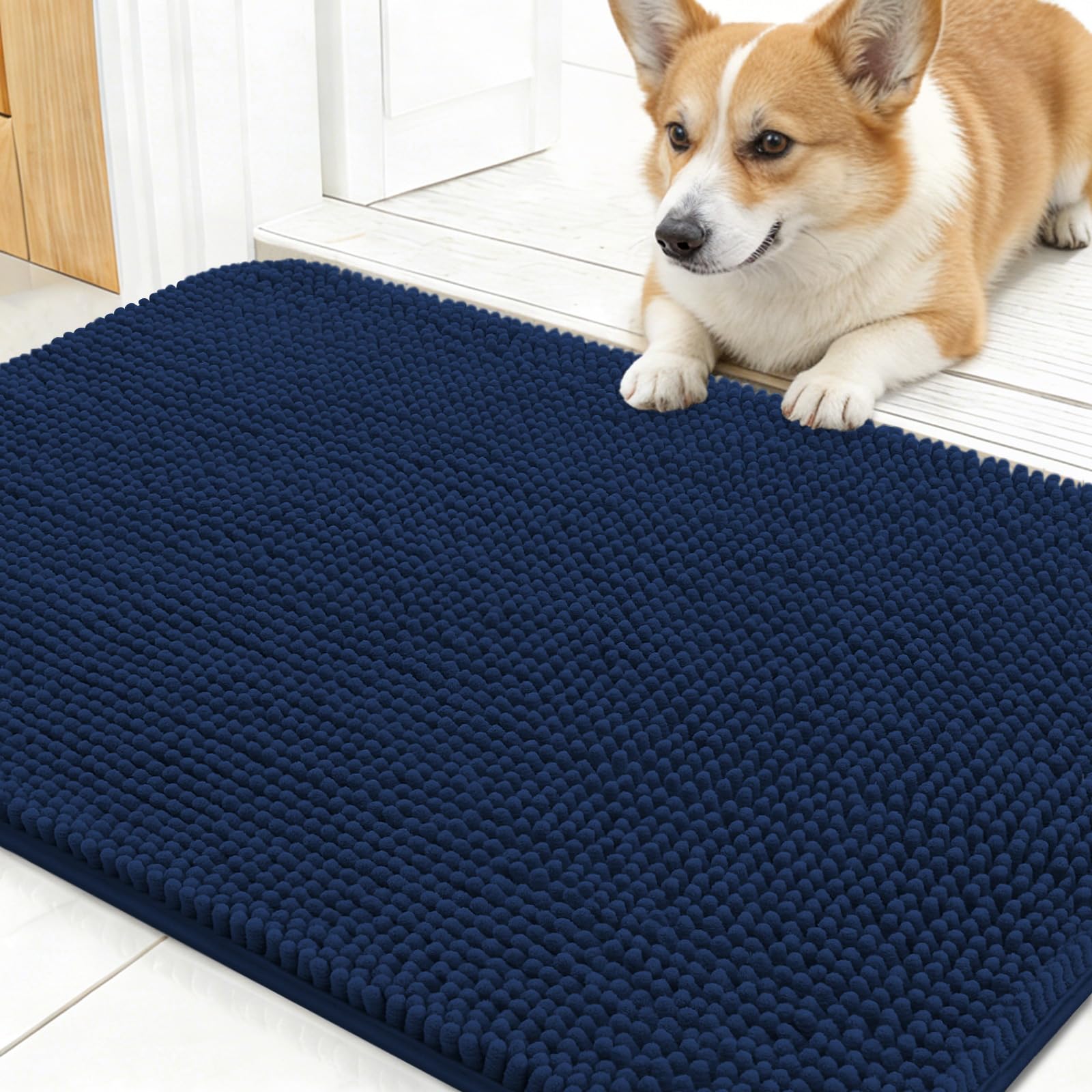 OLANLY Dog Door Mat for Muddy Paws 24x16, Super Absorbent Chenille Mud Mat