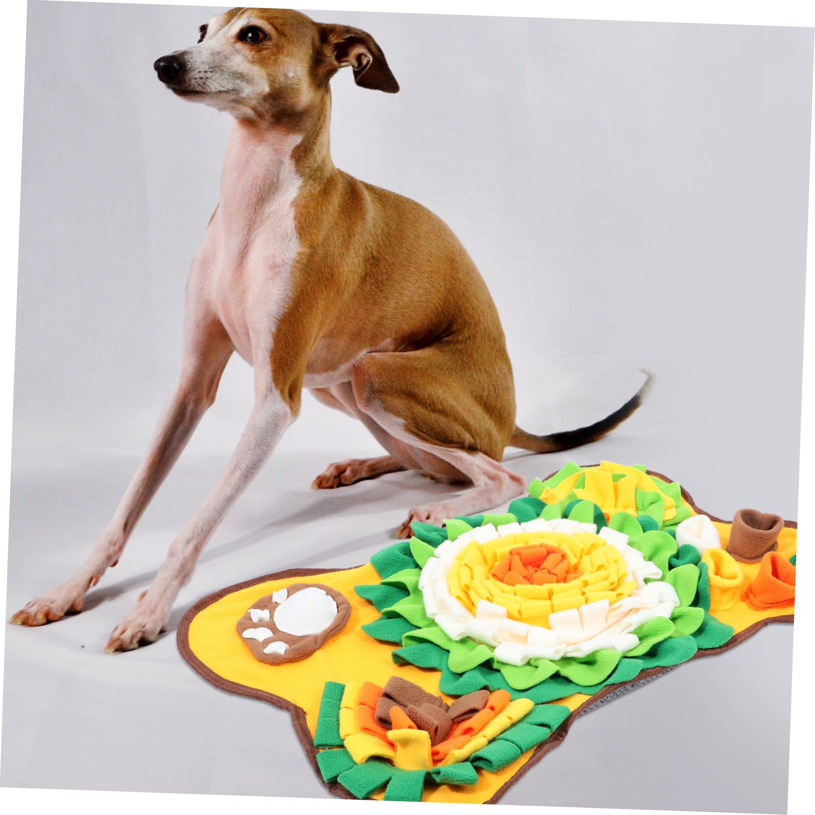 Toyvian Tapete para Entrenamiento para Forma en Perros Olfativo de Material Hueso Pelusa y Juegos de Búsqueda Adecuado de Comida