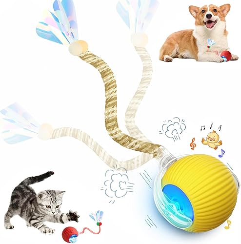Miniatura 18 de Speed 2.0 Tail - Juguetes interactivos para gatos de interior, juguete para gatos que gorjea y activa el movimiento, juguete inteligente de pelota