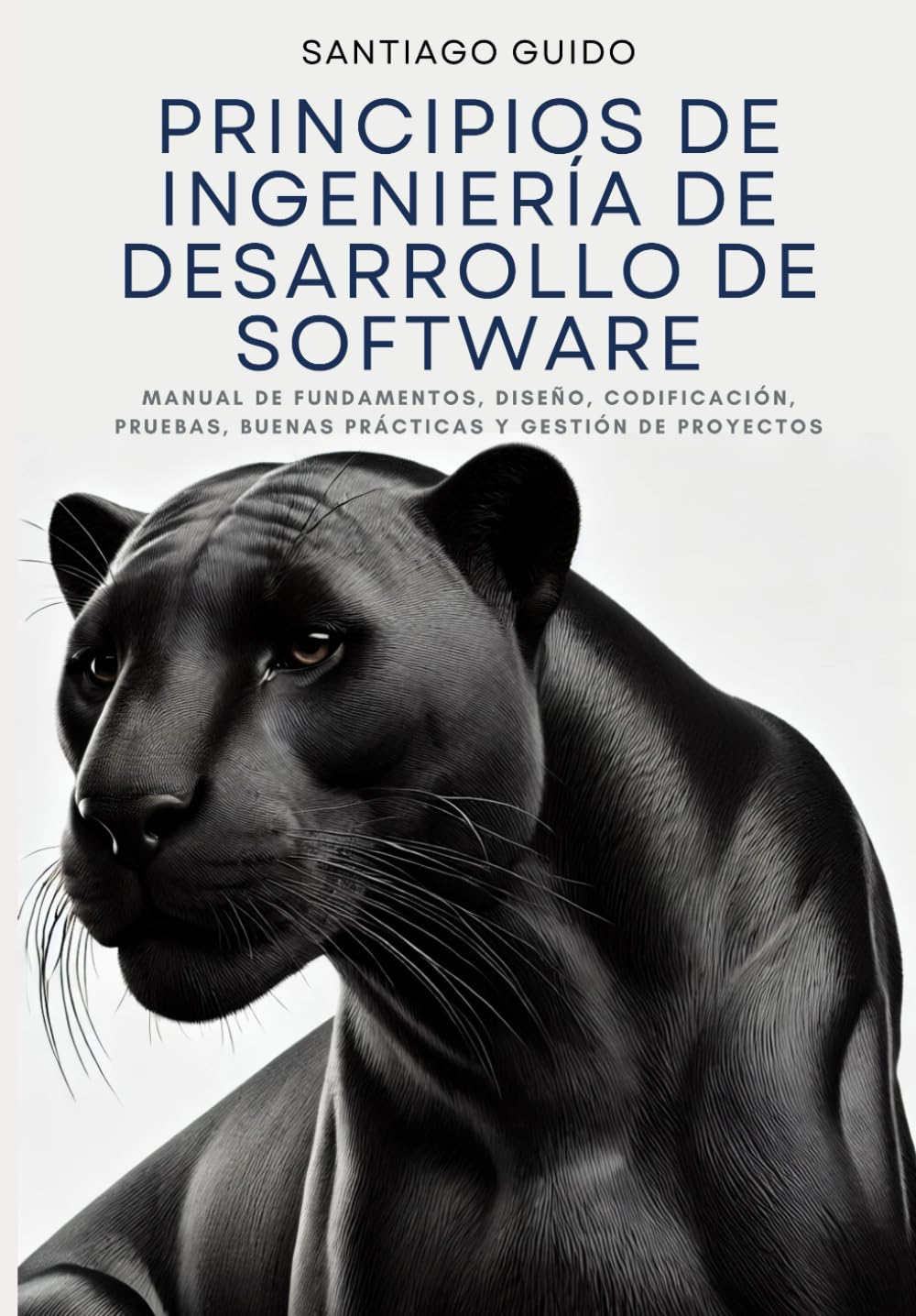 Independently Published Principios De Ingeniería De Desarrollo De Software: Manual De Fundamentos, Diseño, Codificación, Pruebas, Buenas Prácticas Y Gestión De Proyectos