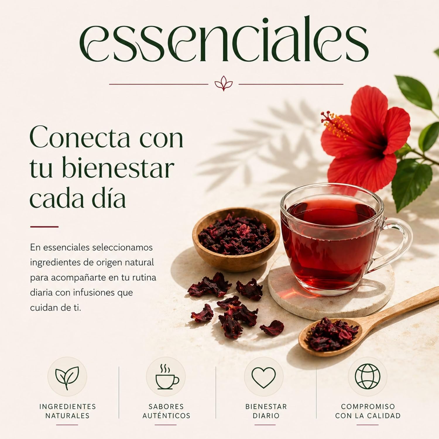 Hibisco Flor de Jamaica Adelgazar BIO Bebida Detox 100% Natural Antioxidante