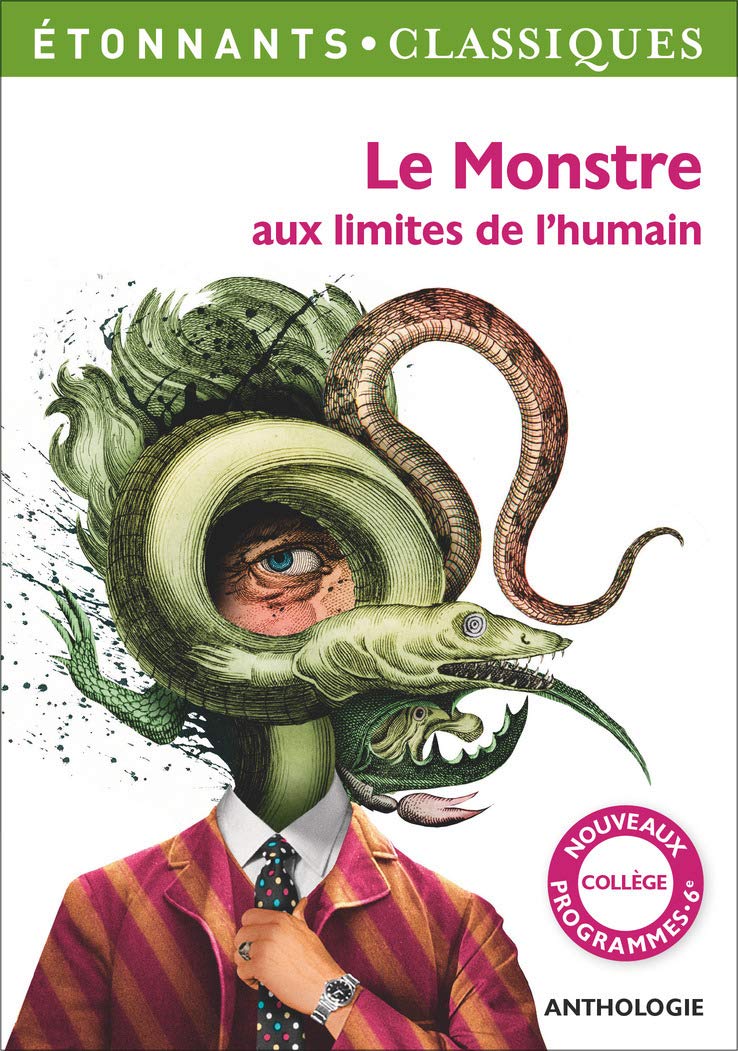 Le Monstre aux limites de l'humain: LE MONSTRE AUX LIMITES DE L'HUMAIN
