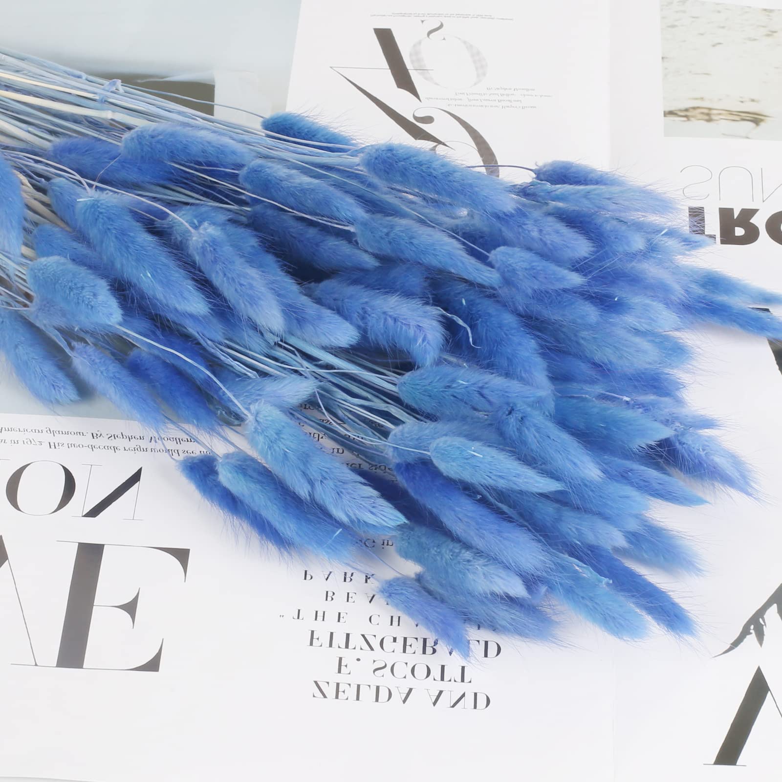 Mazzo Di Erba Della Pampa Secca – 60 Steli Di Coda Di Coniglio – Fiori Secchi Naturali Colorati – Decorazione Floreale Per Matrimonio, Casa, Festa – Blu
