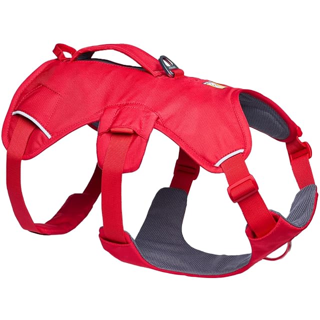 Ruffwear Web Master - Arnés para Perro, arnés Frontal en Y para Perro con asa y Hebilla Mejorada, Ajustable…