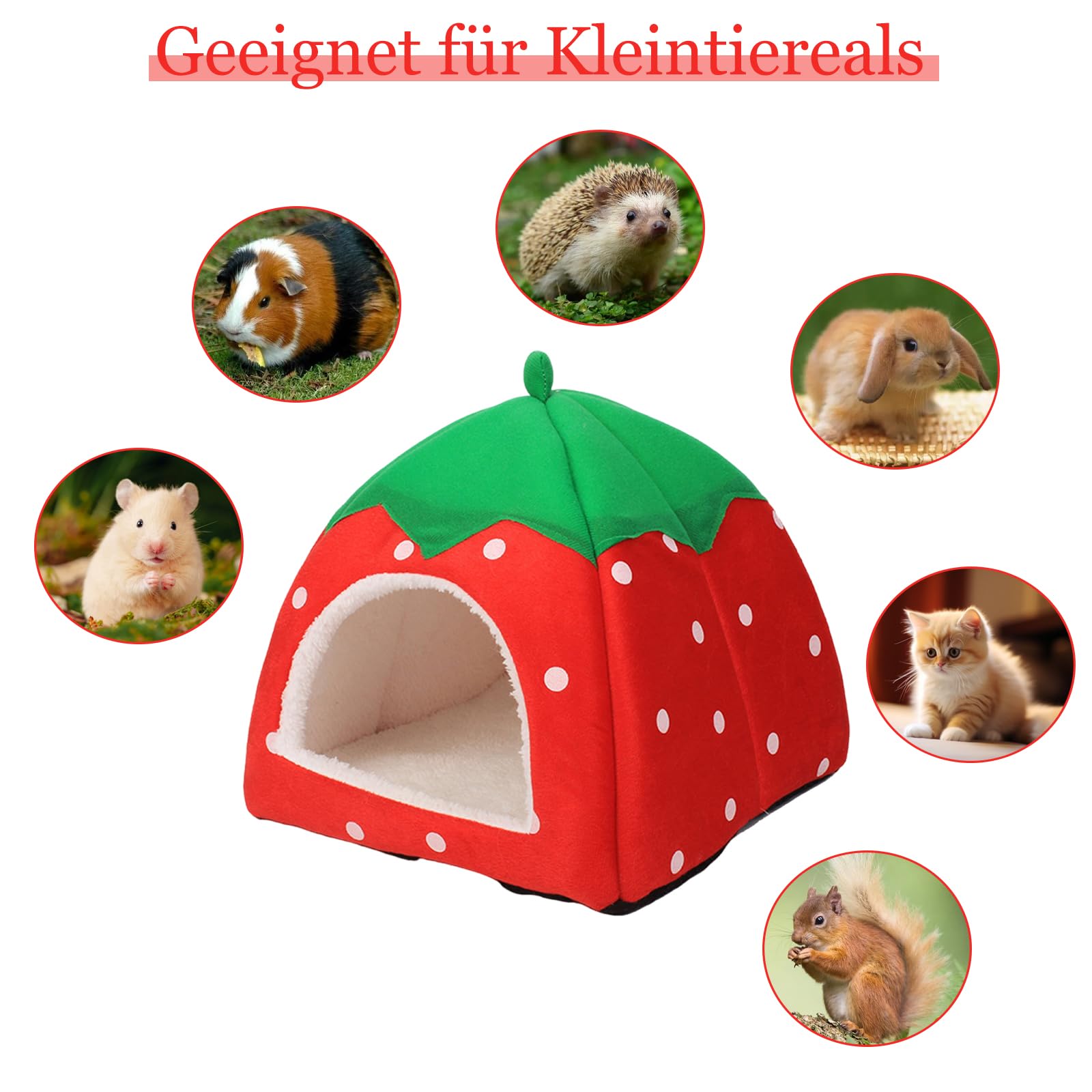 Domek dla świnki morskiej, przytulna jaskinia z wyjmowaną matą, łóżko dla świnki morskiej, szczurów, akcesoria dla królików miniaturowych, chomików, chomików, wiewiórek (24 x 24 cm, czerwony)