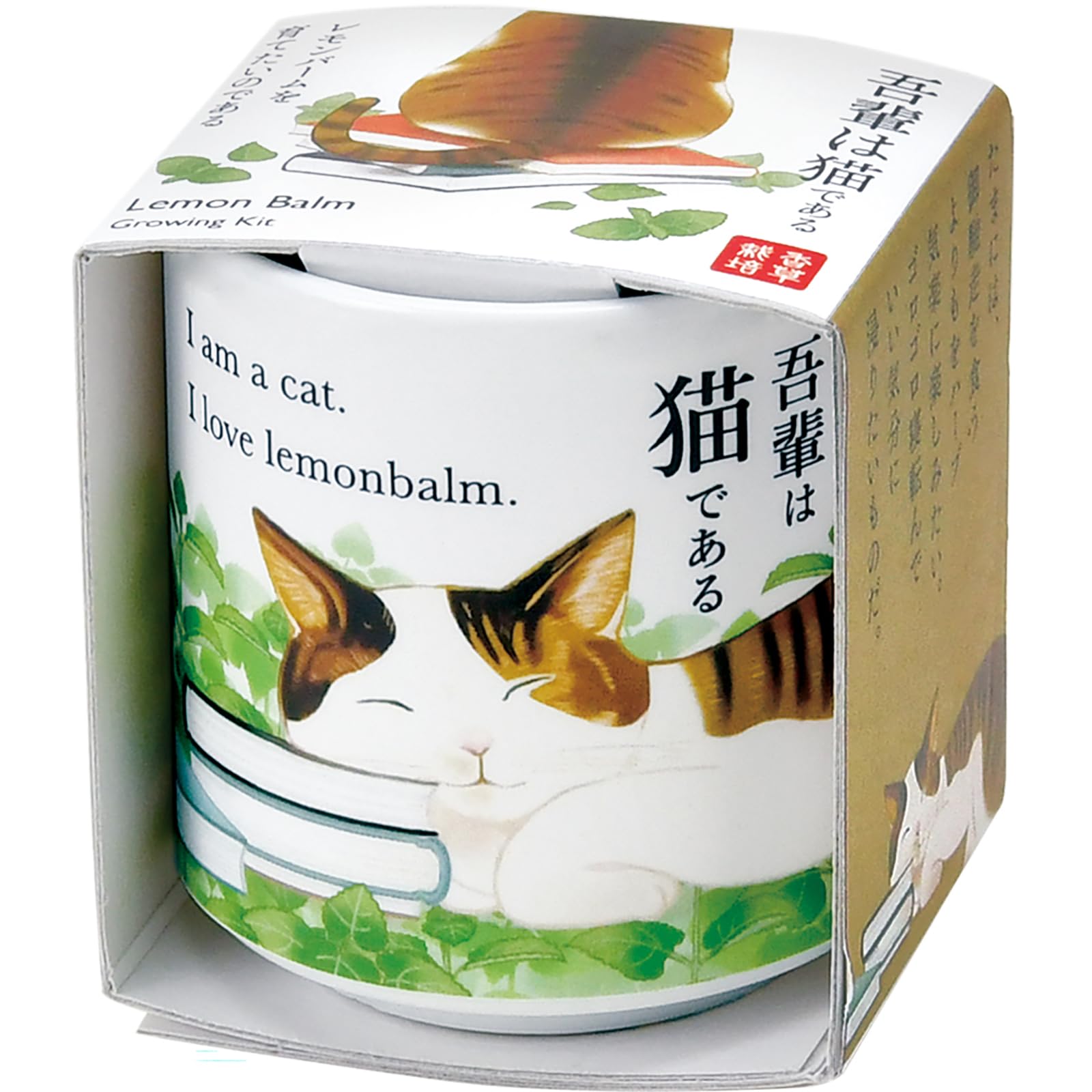 Amazon｜聖新陶芸 通年 家庭菜園 栽培キット 「 お芽でた