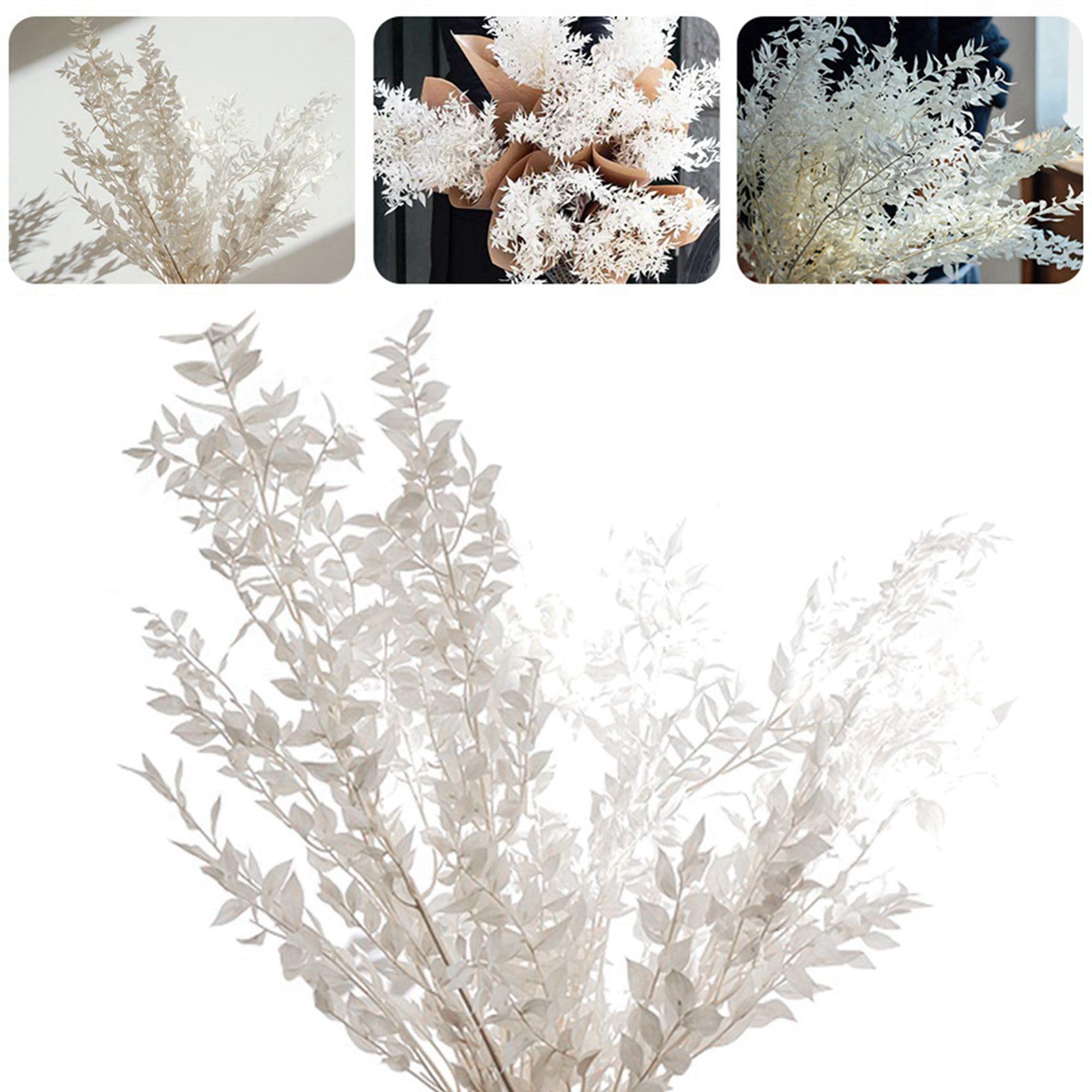 24 Pièces 45 cm Séchées pour Toujours Conservées Ruscus Fleurs Bricolage Décoration Florale Bouquet de Fleurs Sèches pour Mariage Décor à