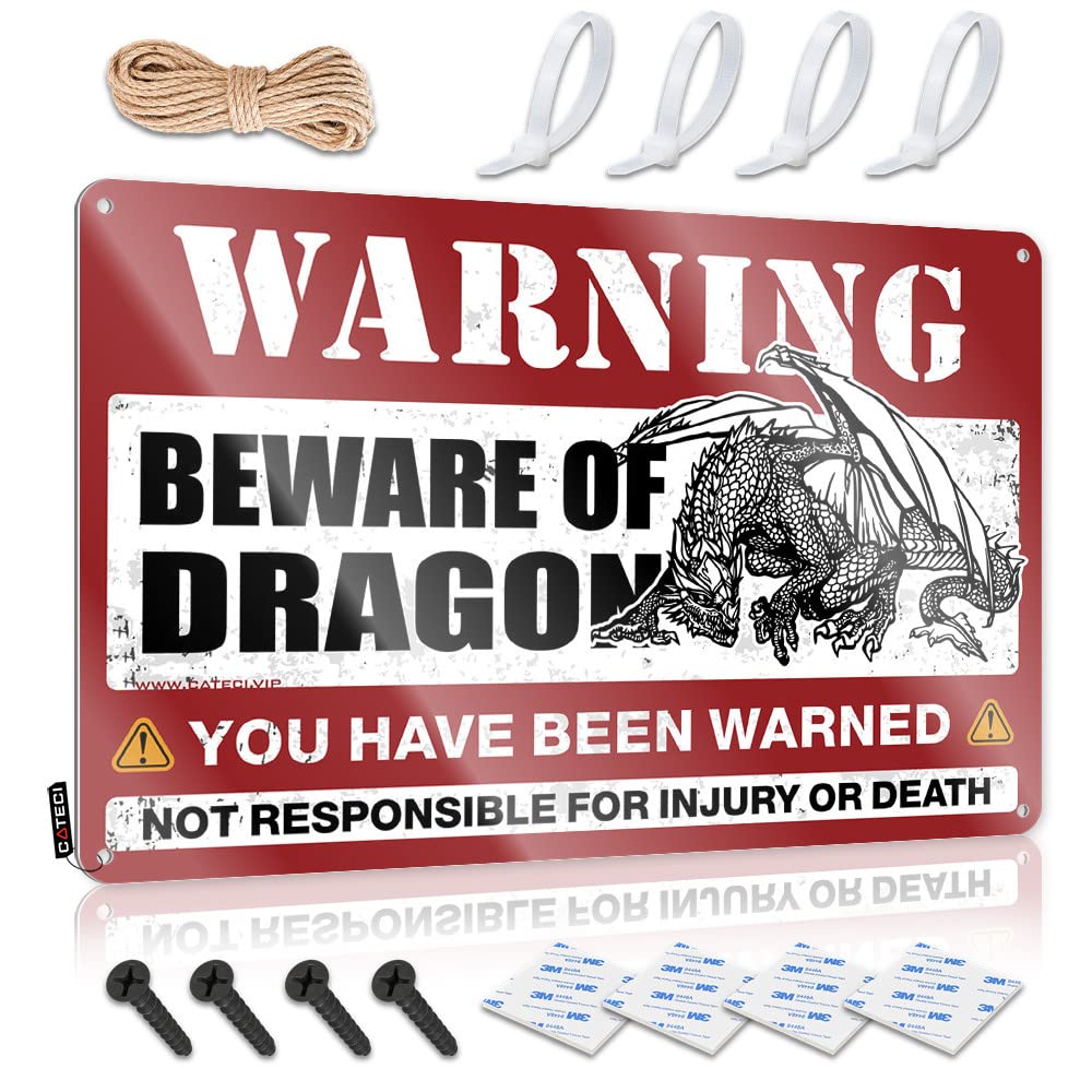 Fzfn Colour Beware Of Dragon Cool Wall Decor Teen Room Decor | Decorative Haves Decorative Wall Art(30X40cm)
